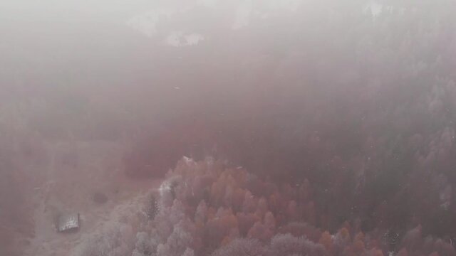 Aerial view of wintertime scene in the Transylvanian village, Pestera, with white frost, fresh snow, blizzard, and fog, at the foot of the Carpathian Mountains