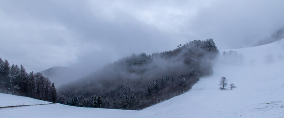 Fototapeta na wymiar Spaziergang im Schnee mit viel Nebel 