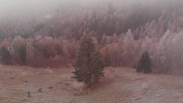 Aerial view of wintertime scene in the Transylvanian village, Pestera, with white frost, fresh snow, blizzard, and fog, at the foot of the Carpathian Mountains