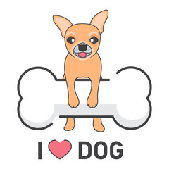 Chihuahua on big dog bone toy with text "I LOVE DOG", Isolated vector illustration.