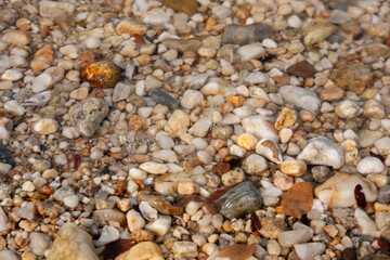 A short variety of colored stones by the sea