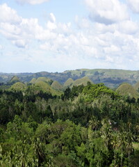 Obraz premium Beautiful view of the green forest and the hills