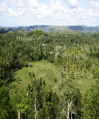 Fototapeta na wymiar Beautiful view of the green forest from the hill