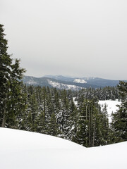 Foggy snowy afternoon at Crater Lake, Cascade Mountains, Oregon