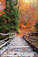 The magic bridge in the fabulous autumn of Svaneti