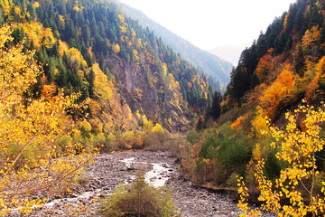 autumn in the mountains the fabulous autumn of Svaneti