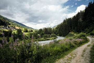 Obraz na płótnie Canvas river in the mountains le rhone 