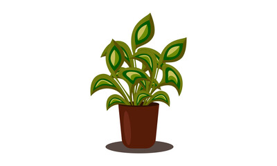 Home flower in a big pot. Vector.