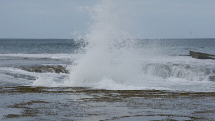 wave with splashing water against the rocks