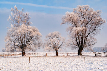  Mroźna i śnieżna zima w dolinie Narwi, Podlasie, Polska