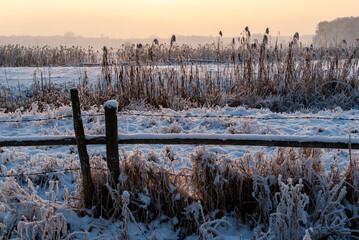  Mroźna i śnieżna zima w dolinie Narwi, Podlasie, Polska © podlaski49