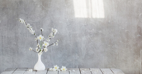 cherry flowers in white vase on background old gray wall