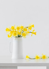 yellow spring flowers on white background