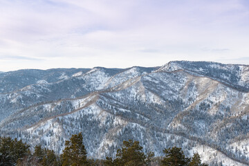 Gentle slopes of forest hills are covered with first snow. View of mountain valleys and ridge on horizon.