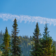 Tops of trees in background hills and clouds. Pine forest in mountain valley. Beauty world mountain landscape on the blue sky
