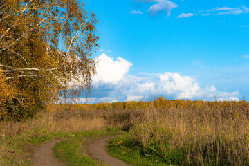 Obraz premium Autumn landscape with dirt road. Rural road in autumn field under cloudy sky.