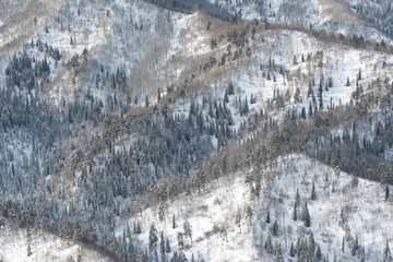 Gentle hills covered with forest and snow, winter mountain valley