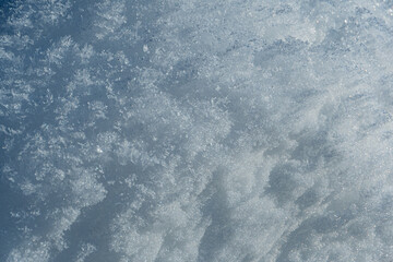 Obraz premium Fresh white snow and frost background structure