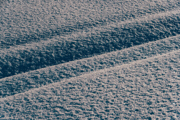 Fototapeta premium Narrow pathway through deep snow in snow field