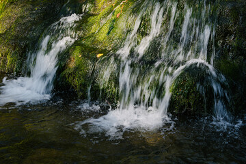 Naklejka premium Small cozy waterfall in forest on sunny day. Mountain river falls from cliff onto rocks, rushing stream of water.