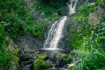 Fototapeta na wymiar Atmospheric view of waterfall on river in rainforest. Swift stream among rocks and green moss.