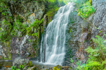 Waterfall among green grass. Mountain stream on mossy boulders in summer rainforest. Alpine cascade of rapid flow