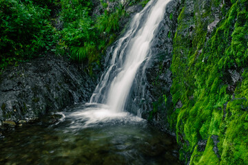 Fototapeta na wymiar Atmospheric view of waterfall on river in rainforest. Swift stream among rocks and green moss.