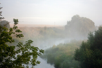 Trees by the river in the morning sun. Silhouette of plants against the background of dawn in summer. Fog over the water at dawn. Branches of trees over water in fog. 