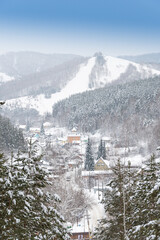 Fototapeta premium Winter forest landscape with snow sloping hills on horizon