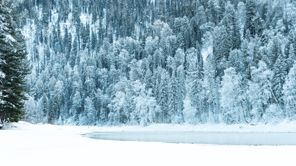 Dark snow forest near winter river. Lake shore is covered with ice and frost. Light frosty haze over water from cold.