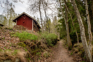 Fototapeta na wymiar Sweden Mobile Home Travel Hiking Typical Houses Landscape