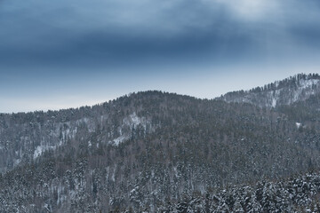 Gentle slopes of forest hills are covered with first snow. View of mountain valleys and ridge on horizon.