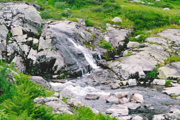 Rapid stream in mountain valley among grassy banks. Small waterfall in green meadow.