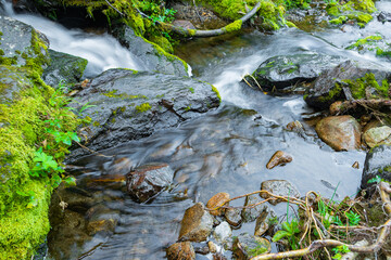 Stormy stream among rocks and boulders in forest valley. Mountain river.