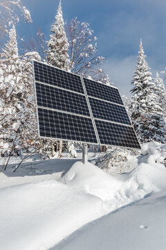 Solar panel with snowy forest on clear winter day