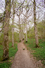 Obraz premium Sweden Isle Tjörn Mountain with lake