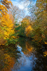 Autumn scenic with trees reflections in a river