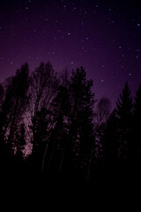 Sweden purple sky by night with stars