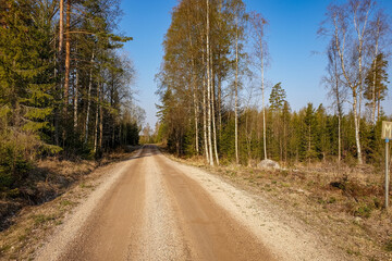 Fototapeta na wymiar Sweden Hiking Travel in the nordic Woods