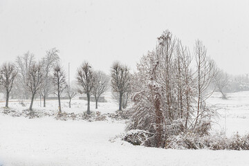 neve nelle campagne versione a colori