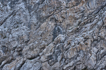 The texture of the rock of gray brown color