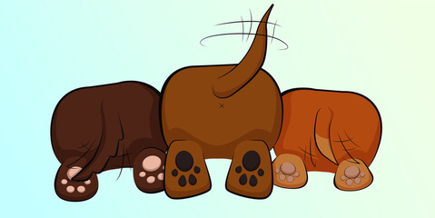 Rear view of three happy pupils wagging tails. Isolated cartoon brown dogs cute pads and tails in flat style 
