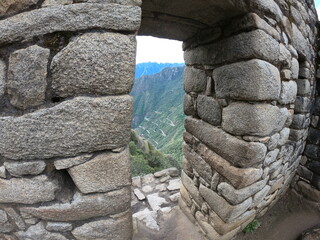 wall