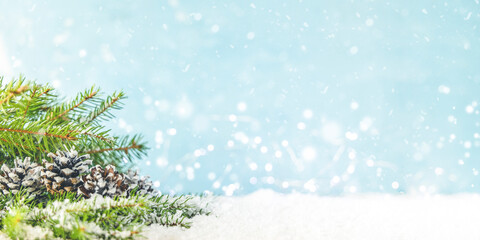 Christmas or New Year background with green fir branches and cones on blue background. Winter...