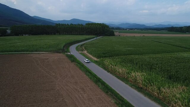 Cinematic shot, classic car driving away on a small rural road, tracking dolly