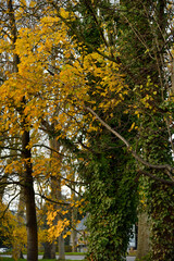 Couleurs mélangées