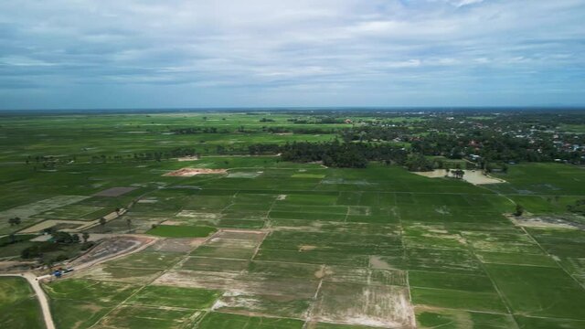 Aerial view of rice paddies ib Cambodia, South east Asia