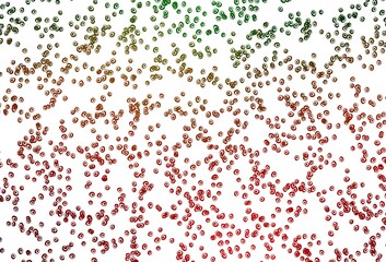 Light Green, Red vector background with bubbles.