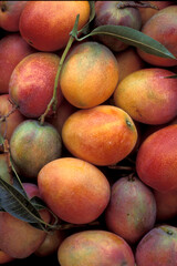 TAIWAN TAIPEI FOOD MARKET