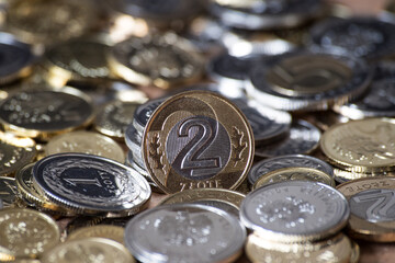 Polish money, coins. Polish zloty